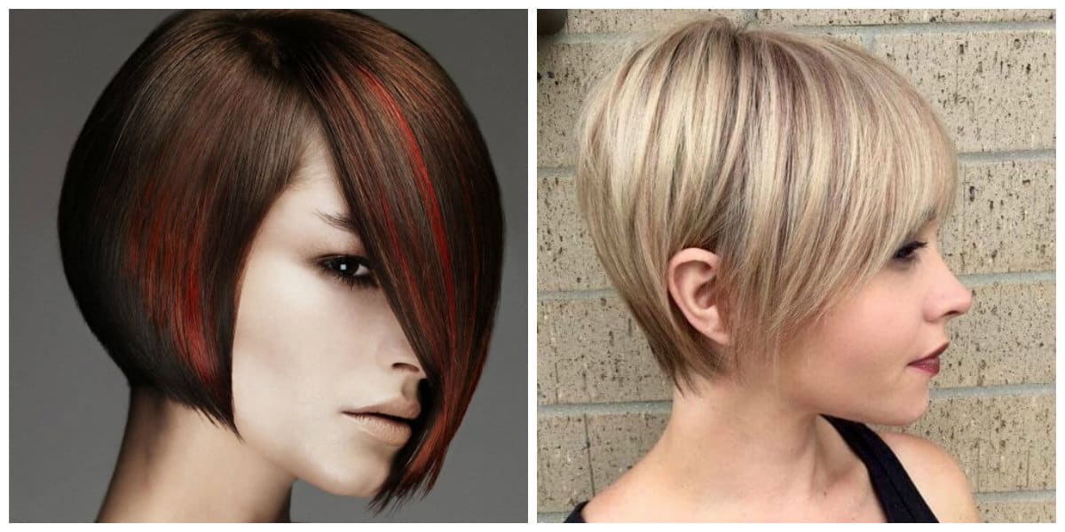 Womens Short Hairstyles 2021 Top Female Short Hairstyles 2021 Trends 55 Photos Videos