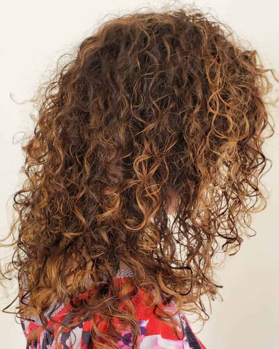 Top 15 Curly Hairstyles 2020 For All Hair Length 45 Photos